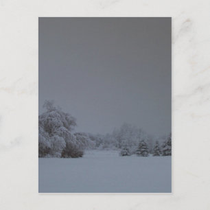 A Maine Winter 13 Postcard