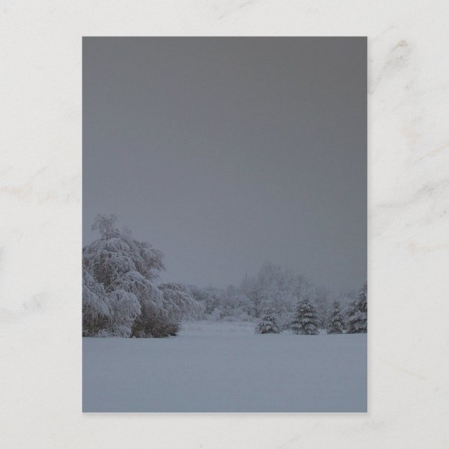 A Maine Winter 13 Postcard (Front)