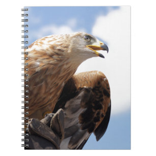 A majestic golden eagle notebook
