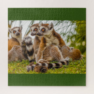 a male lemur hugs his female on puzzle