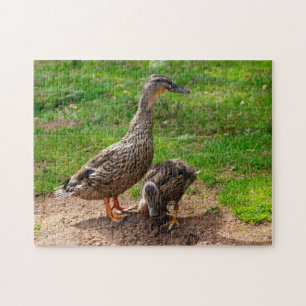 A Mallard Duck and her Duckling Jigsaw puzzle