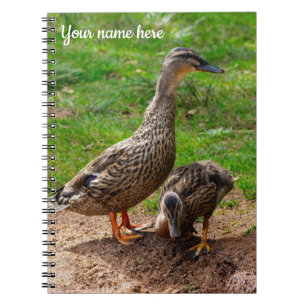 A Mallard Duck and her Duckling Spiral notebook