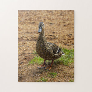 A Mallard Duck Jigsaw puzzle