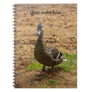A Mallard Duck Spiral notebook