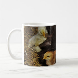 A Mama and Her Chicks Coffee Mug