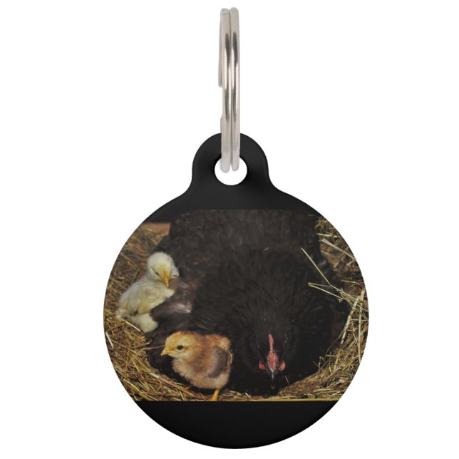 A Mama and Her Chicks Pet Tag (Front)