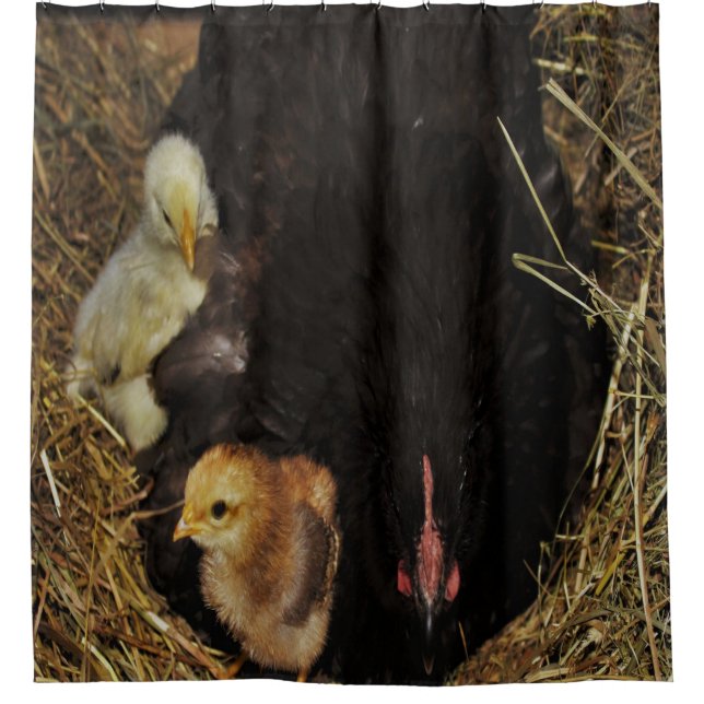 A Mama and Her Chicks Shower Curtain (Front)