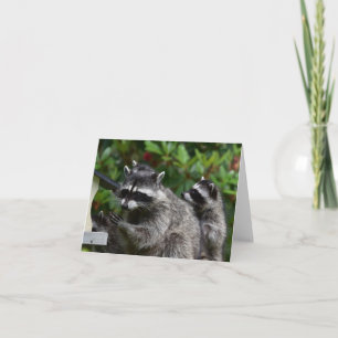 A Mama Racoon and her Baby Card