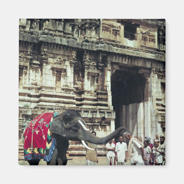 A man being blessed by an elephant magnet (Front)