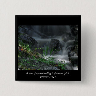 A man of understanding is of a calm spirit... pin