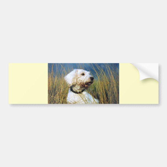 A Man's Best Friend Bumper Sticker (Front)