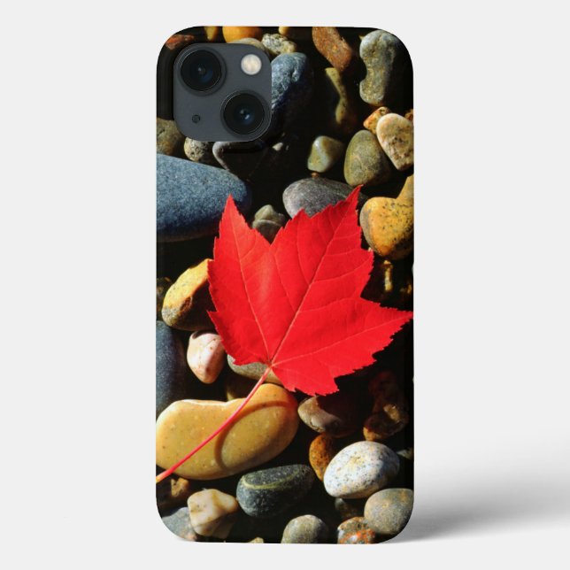 A Maple leaf on a Rock Background Case-Mate iPhone Case (Back)