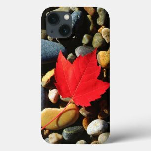A Maple leaf on a Rock Background iPhone 13 Case