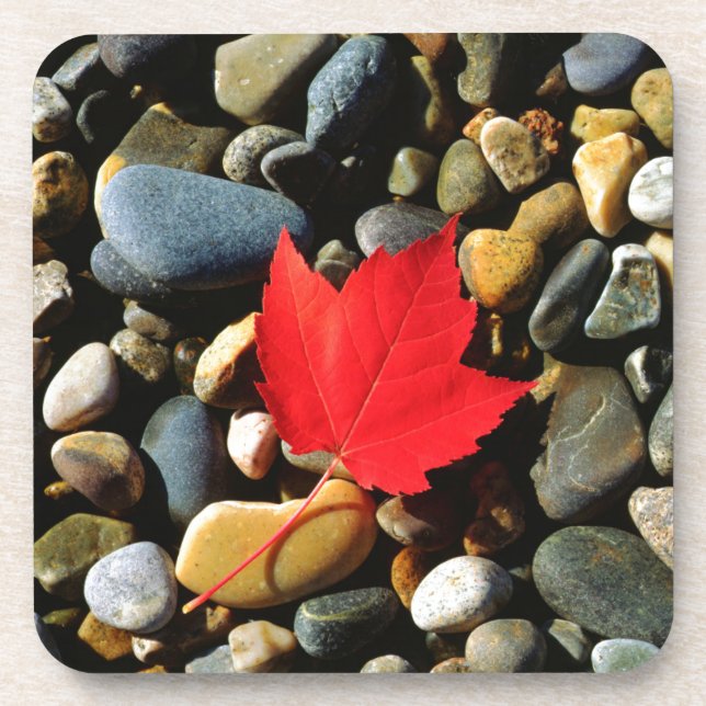 A Maple leaf on a Rock Background Coaster (Front)
