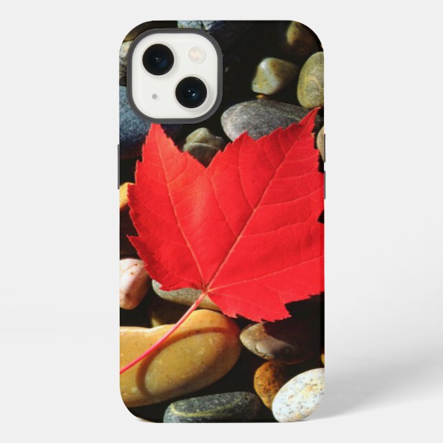 A Maple leaf on a Rock Background iPhone Case (Back)