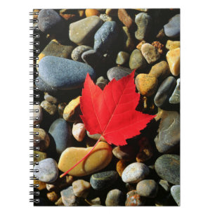 A Maple leaf on a Rock Background Notebook