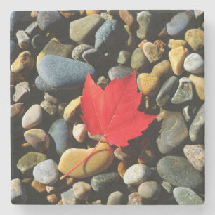 A Maple leaf on a Rock Background Stone Coaster