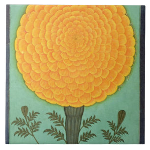 A Marigold, from the Small Clive Album (w/c on pap Ceramic Tile