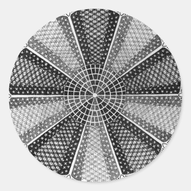 A Marine Diatom Classic Round Sticker (Front)