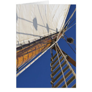 A Mast Of Perspective