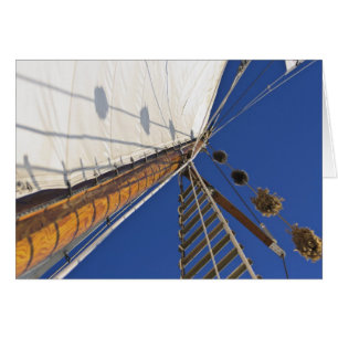 A Mast Of Perspective