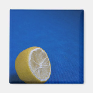 A Mediterranean Lemon Magnet