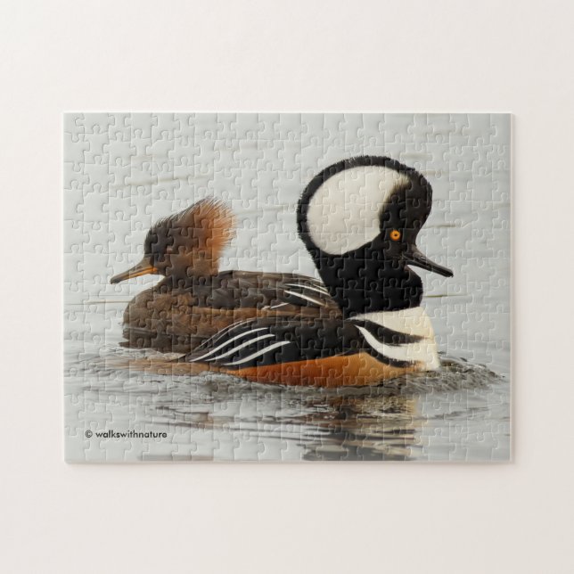 A Meeting of Hooded Merganser Ducks at the Pond Jigsaw Puzzle (Horizontal)