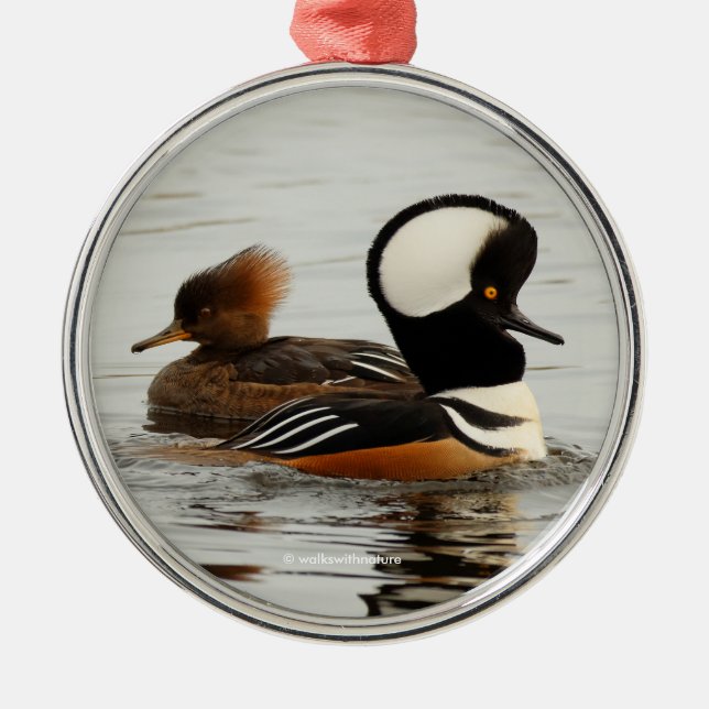 A Meeting of Hooded Mergansers Metal Tree Decoration (Front)