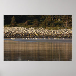 A Meeting Of Minds and Feathers fine art print