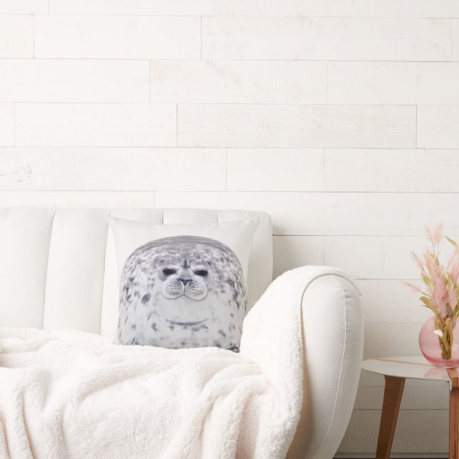 A Meme Cushion (Couch)