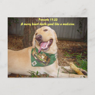 A merry heart doeth good like a medicine. postcard