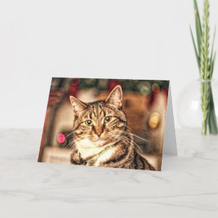 A Merry Little Christmas Kitty Card