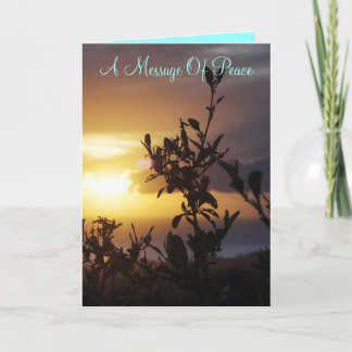 A Message Of Peace Card