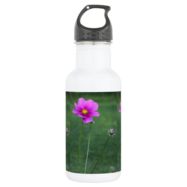 A Mexican Aster 532 Ml Water Bottle (Front)