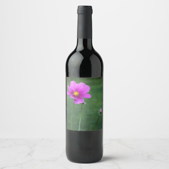 A Mexican Aster Wine Label (Front)