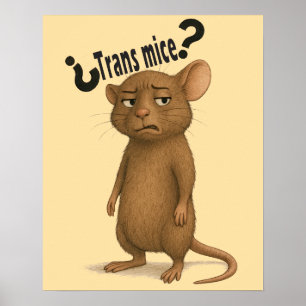 A mice confused by dumb statement poster