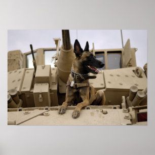 A military working dog sits on a M2A3 Poster
