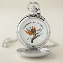 A Miniature Masterpiece for Your Pocket