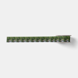 A Miniature Waterfall Satin Ribbon