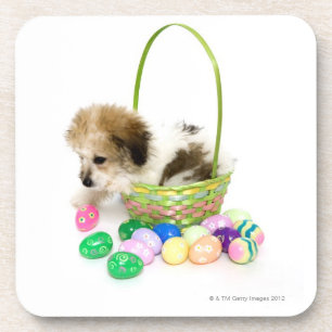 A mixed breed puppy sitting in an Easter basket Coaster