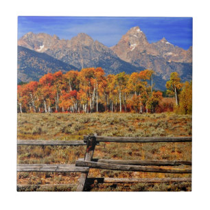 A Moment in Wyoming in Autumn Ceramic Tile