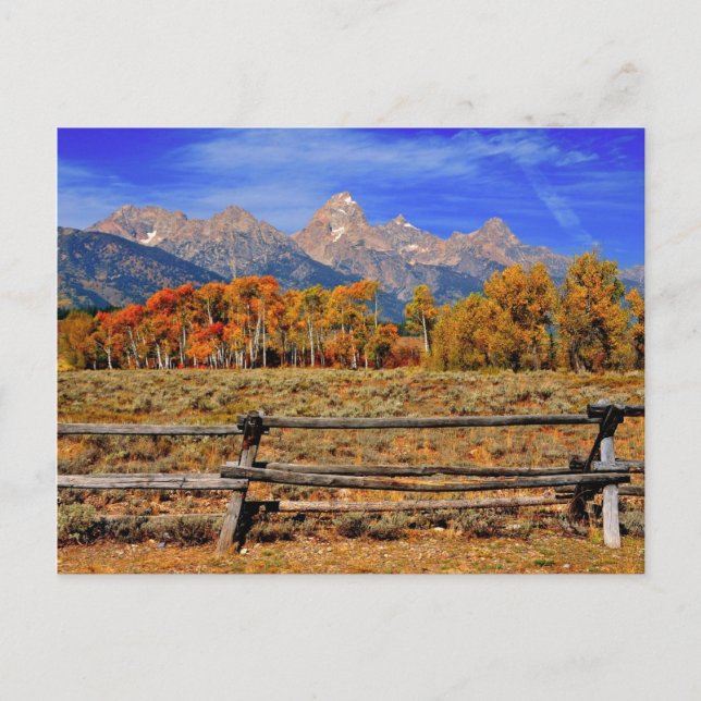 A Moment in Wyoming in Autumn Postcard (Front)