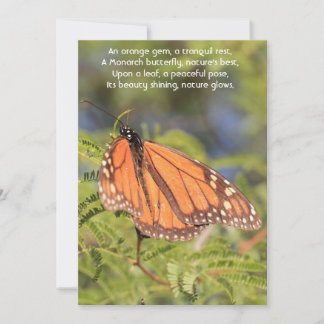 A Moment of Serenity: The Orange Monarch Butterfly Holiday Card