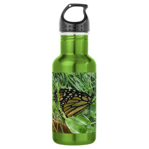 A Monarch Butterfly 532 Ml Water Bottle