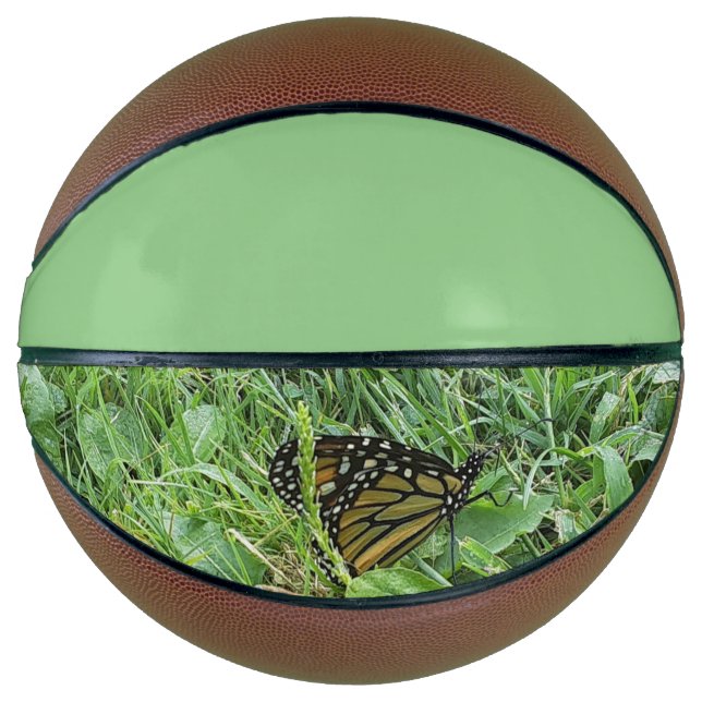 A Monarch Butterfly  Basketball (Front)
