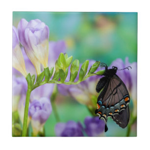 A Monarch Butterfly Danaus Plexippus Ceramic Tile