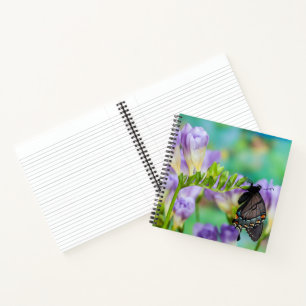 A Monarch Butterfly   Danaus Plexippus Notebook