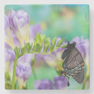 A Monarch Butterfly Danaus Plexippus Stone Coaster