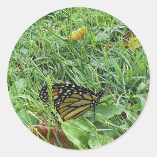 A Monarch Butterfly Sticker