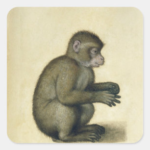 A Monkey Square Sticker